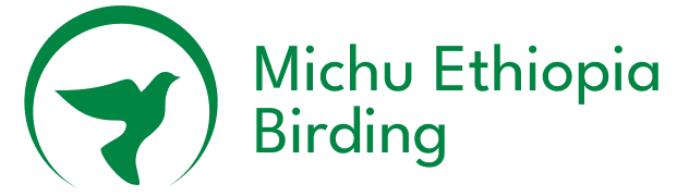 michu ethiopia birding